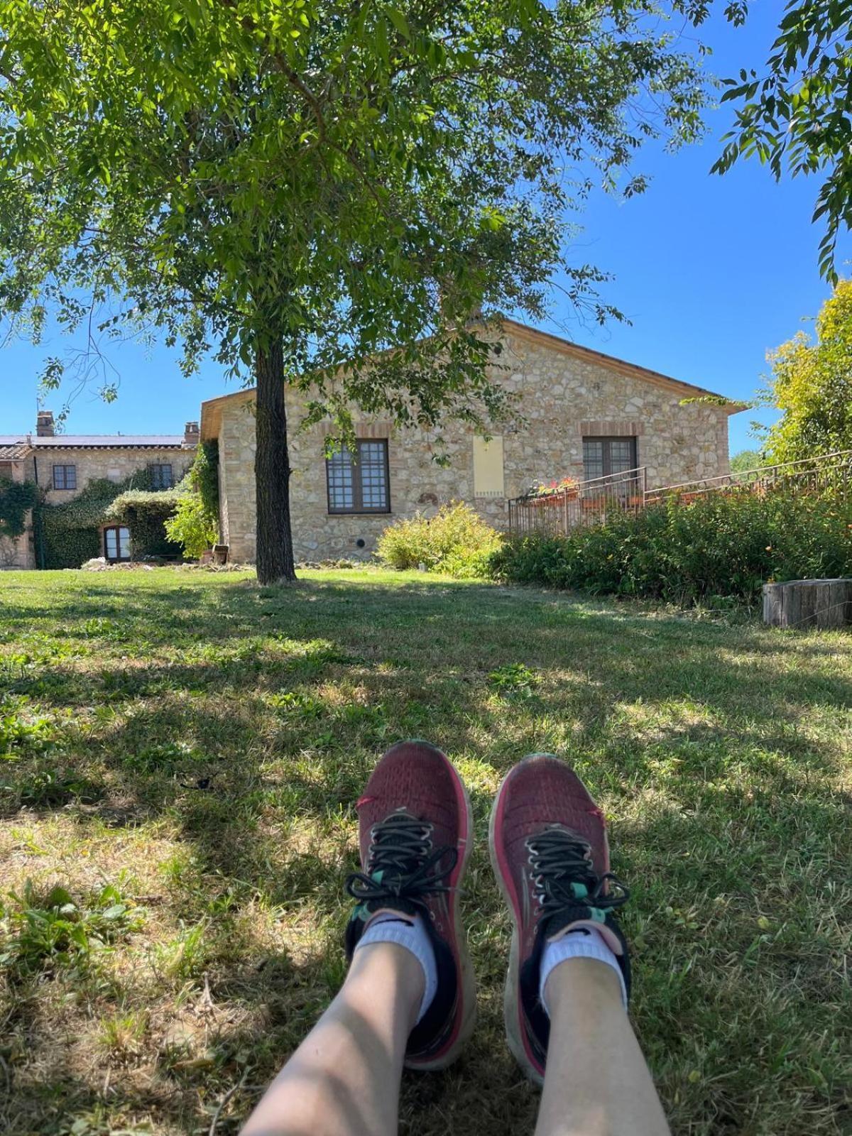 Agriturismo Podere dell' Olmo Amelia Exterior foto